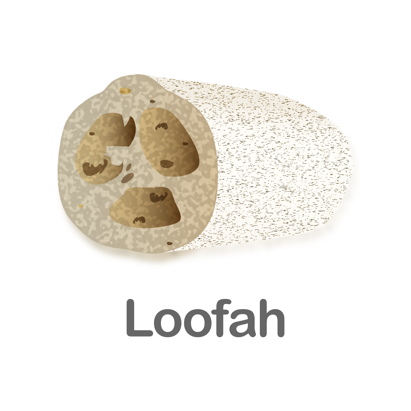 Loofah