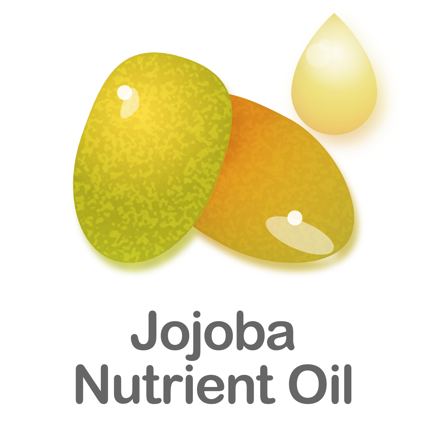 Jojoba Nutrient Oil