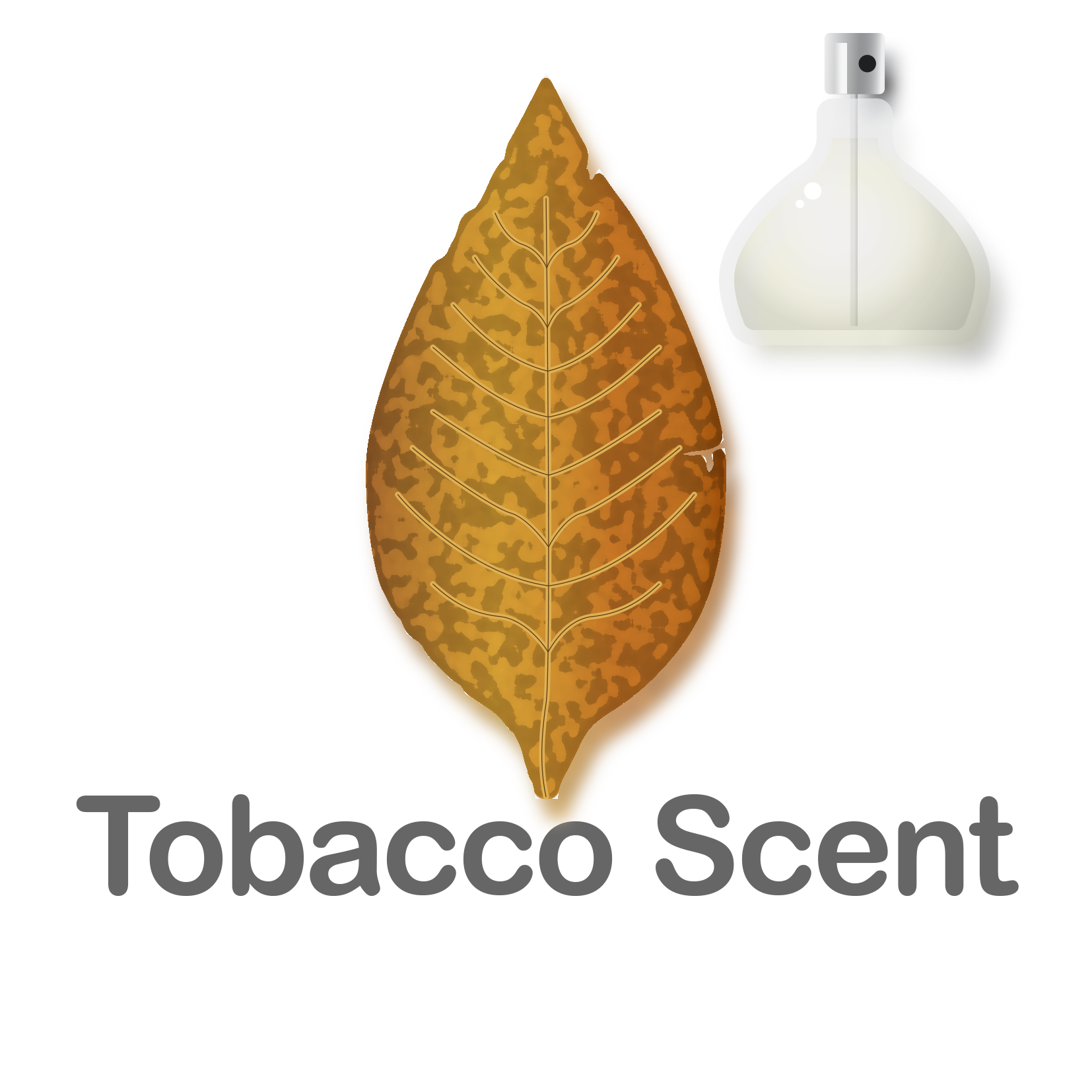 Tobacco Scent