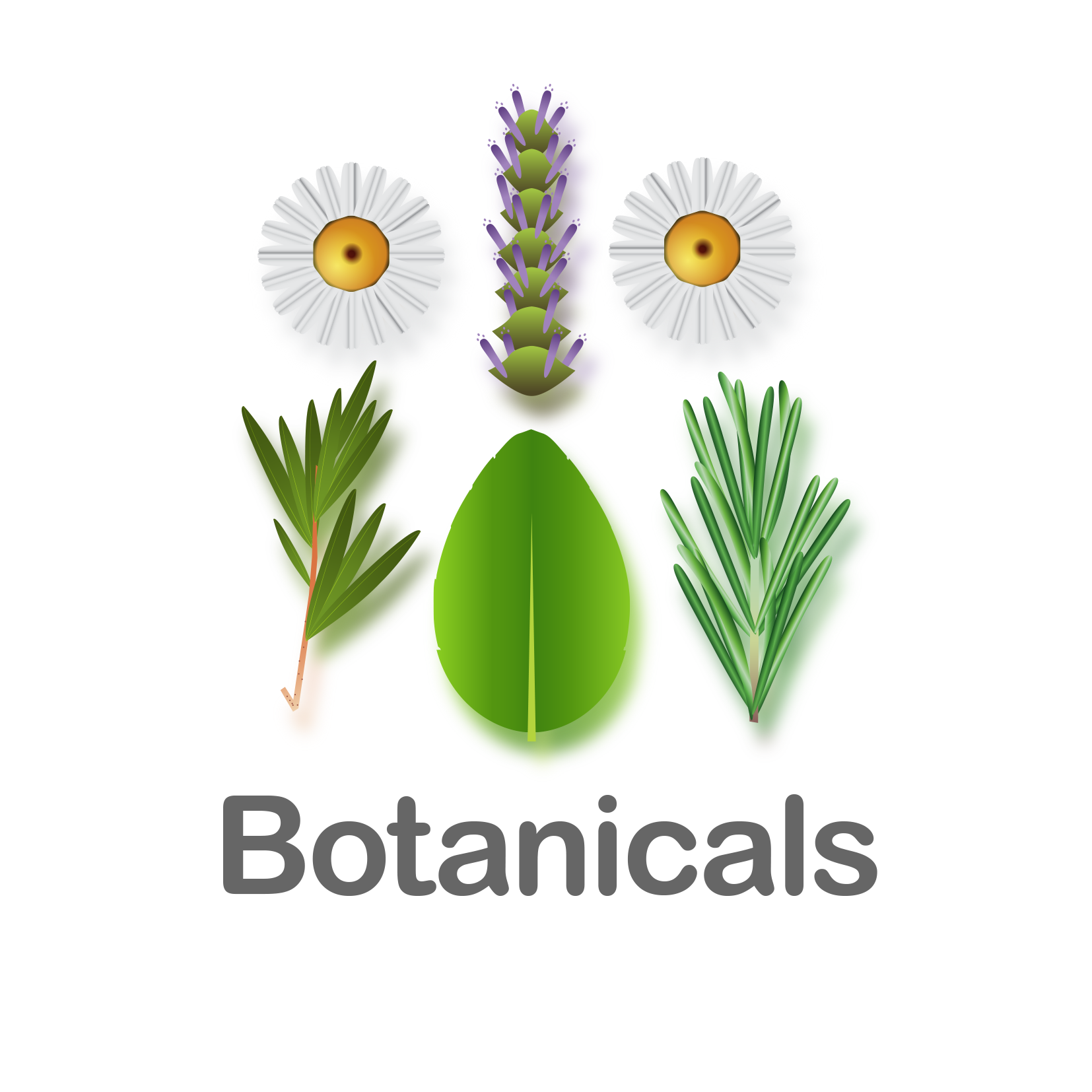 Botanicals