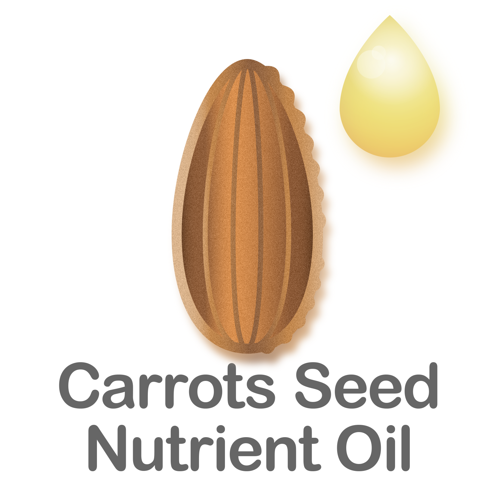 Carrots Deed Nutrient Oil
