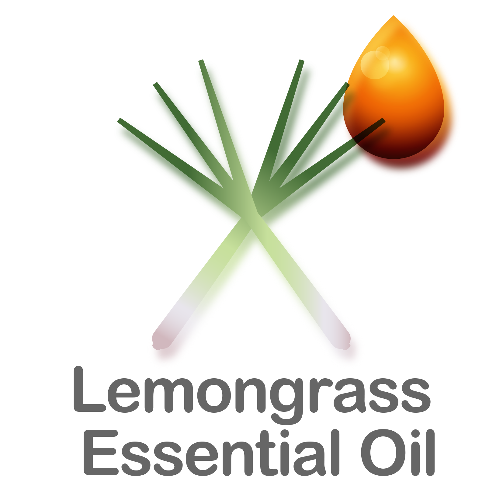 Lemongrass_Essential-Oil.png