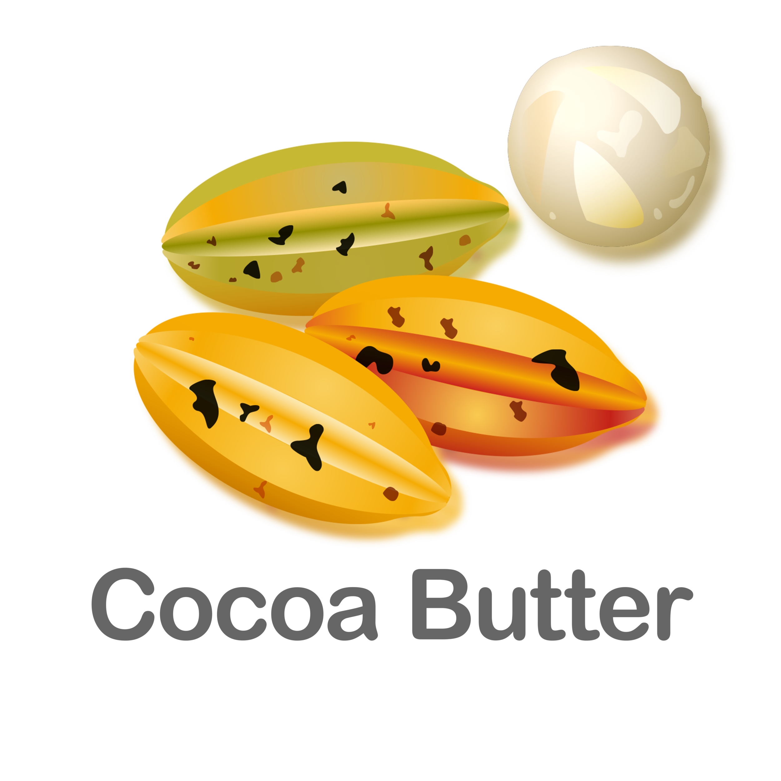 Cocoa Butter (Copy)