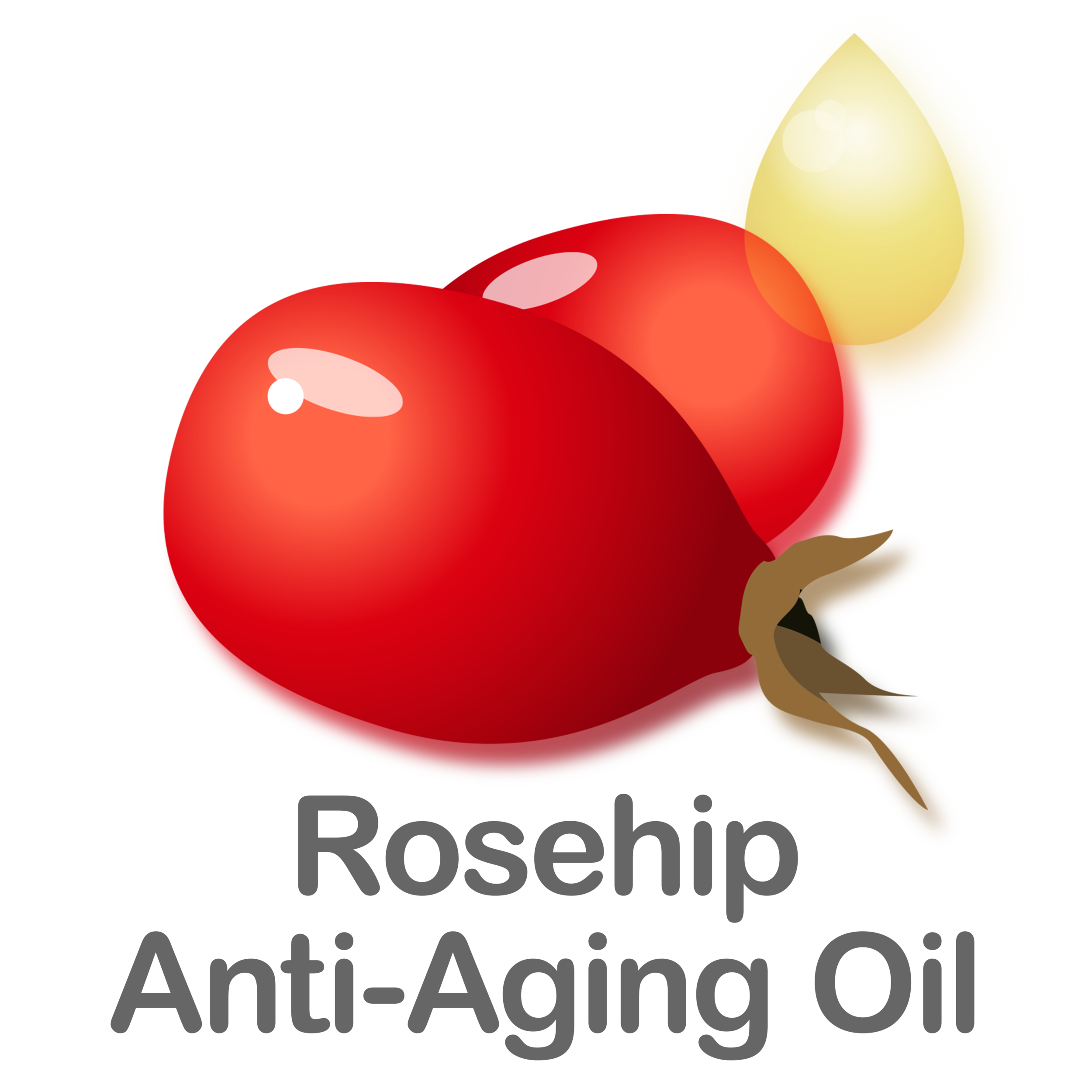 Rosehip Anti-Aging Oil (Copy)