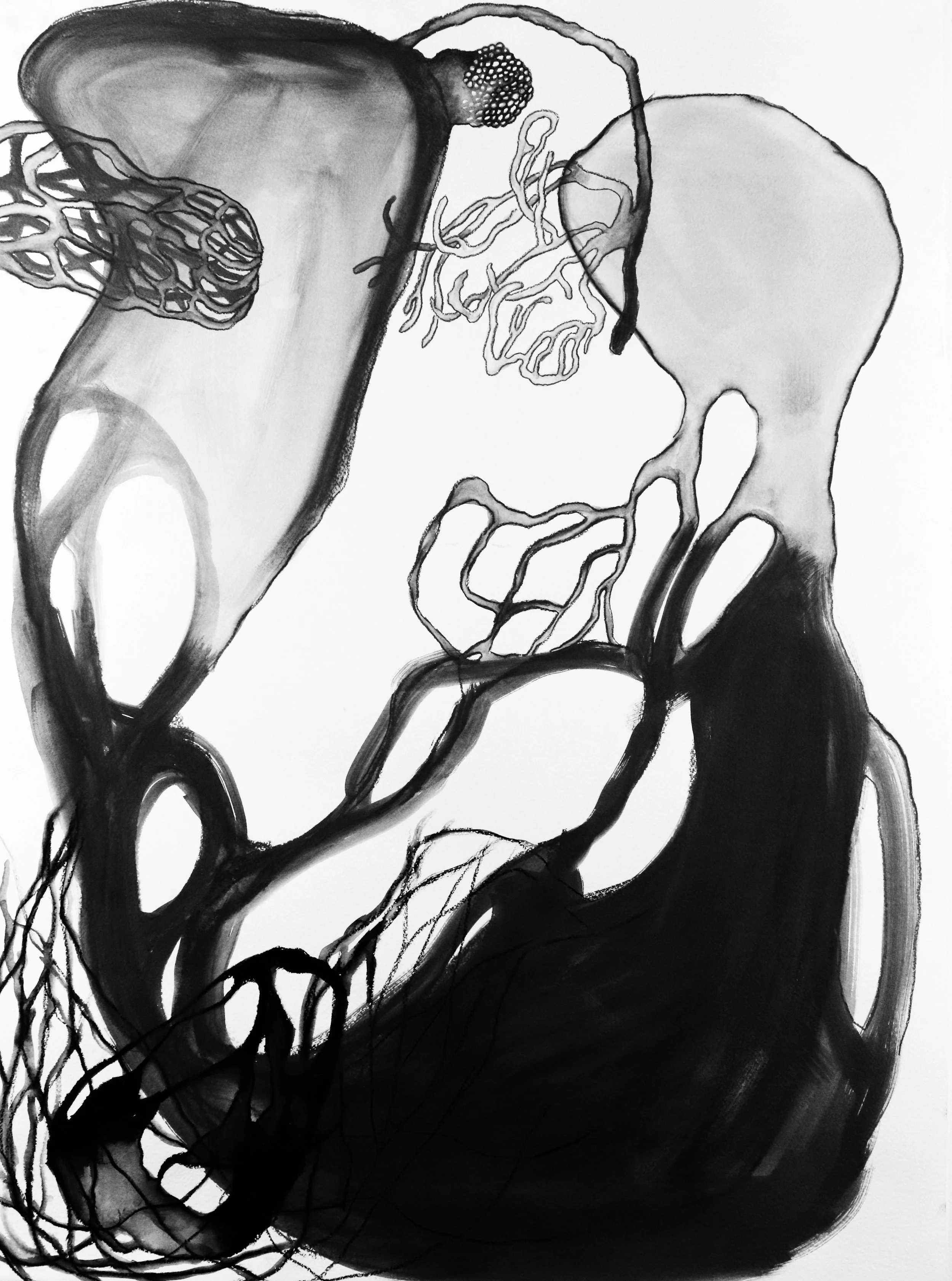 ima_20dupla_1wb.jpg