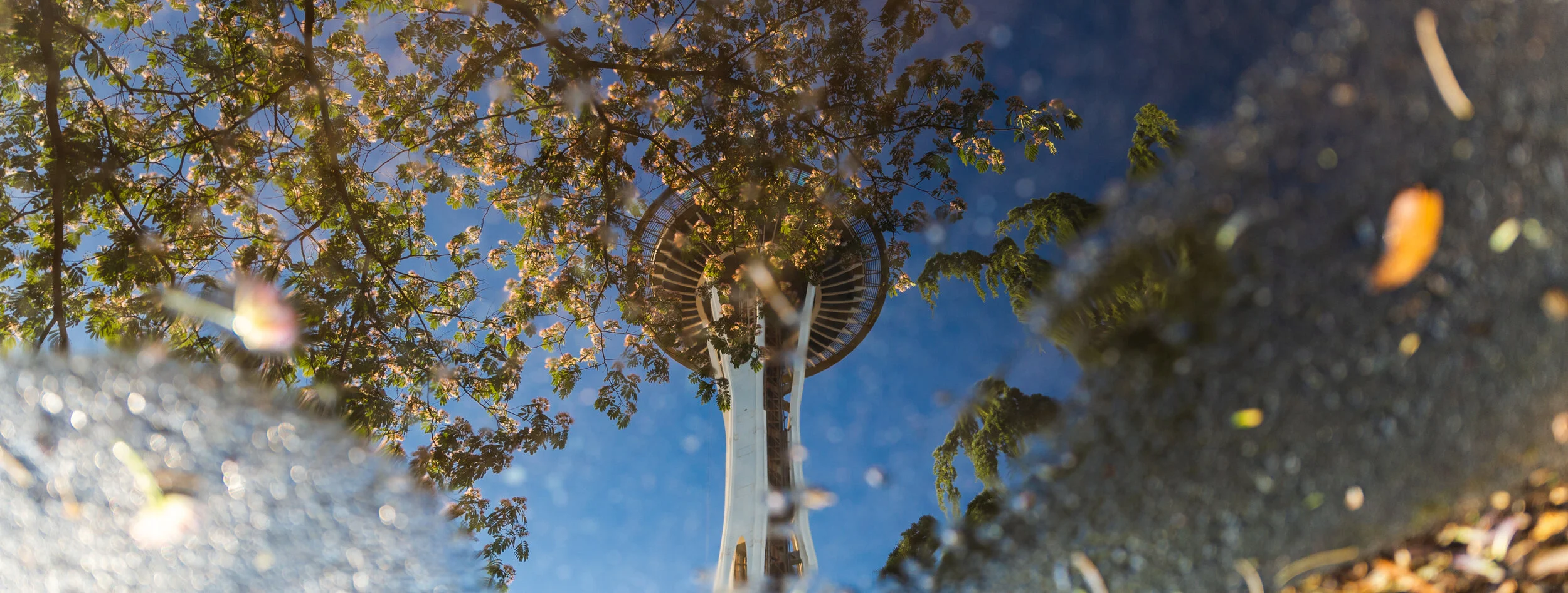 Seattle, WA | 2016