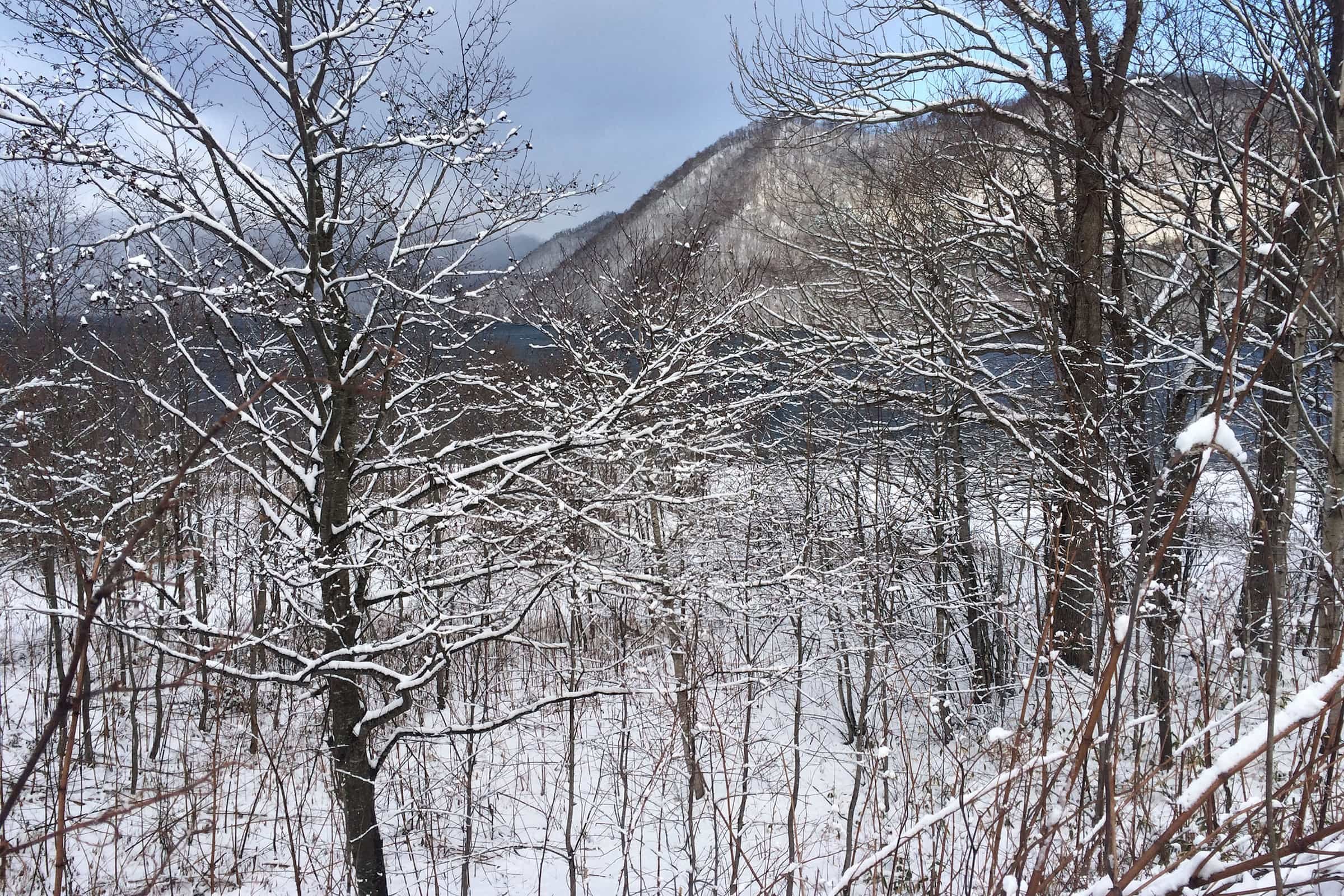 EPM Hokkaido Mountain Elevation Winter Vacation Home - 12.jpg