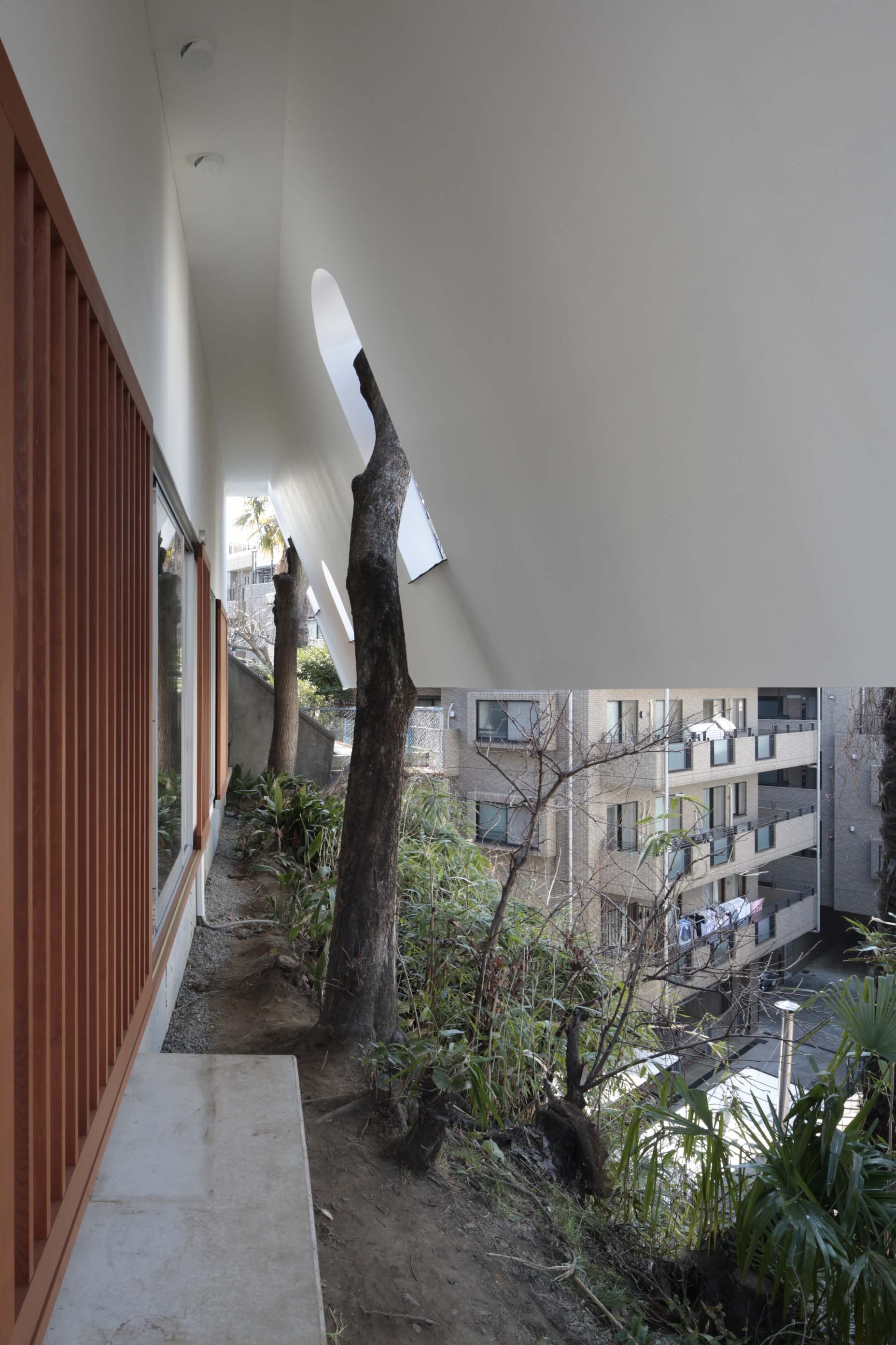 House of Roof Eaves Sustainable Timber Building ON Design Tokyo - 06.JPG