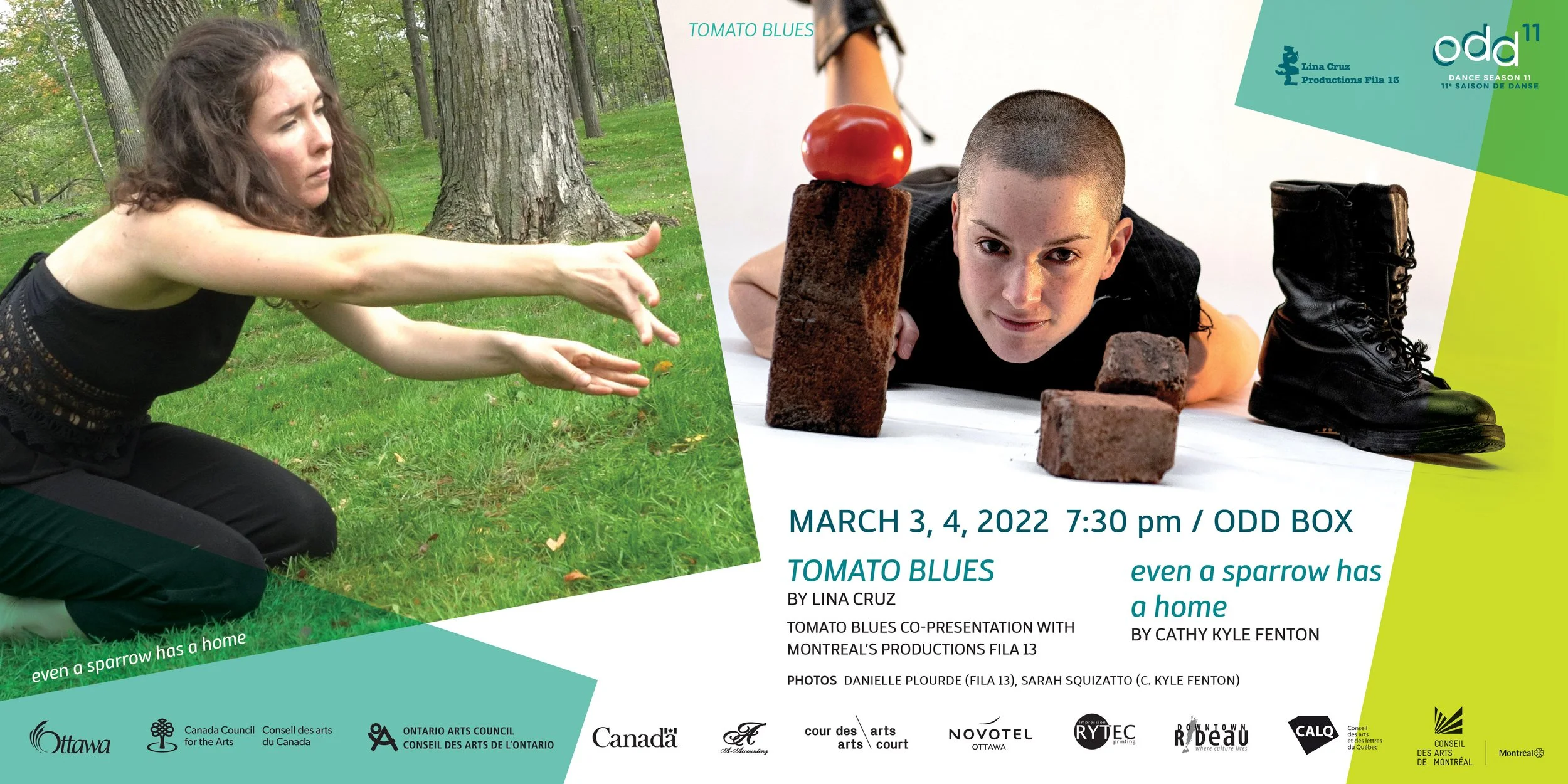 TOMATO BLUES +  …even a sparrow has a home