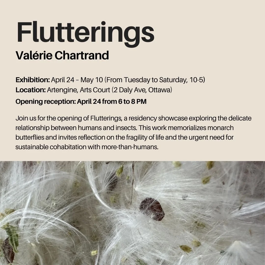 Flutterings / Papillonnements