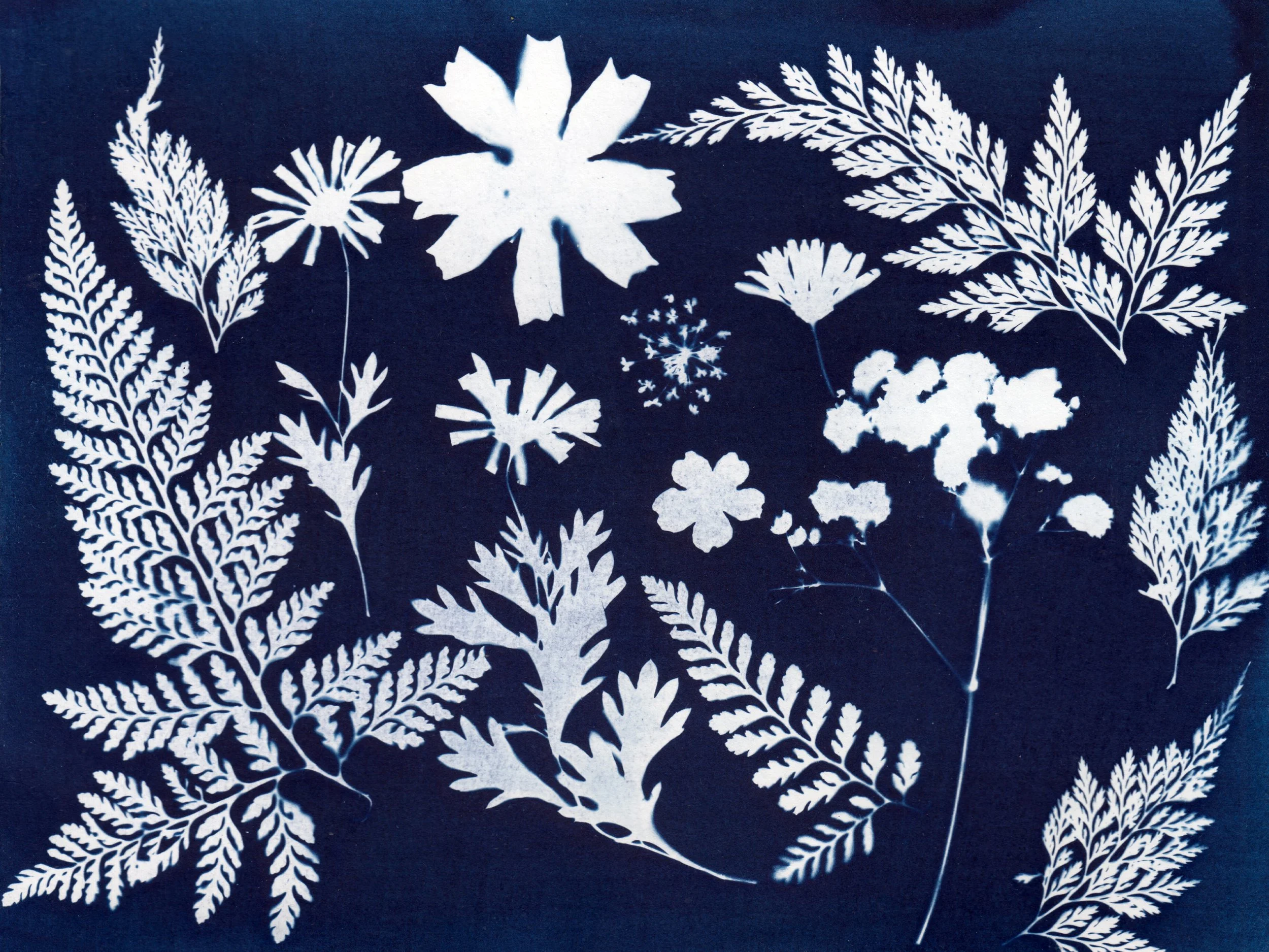 Cyanotype Workshop (Artengine)