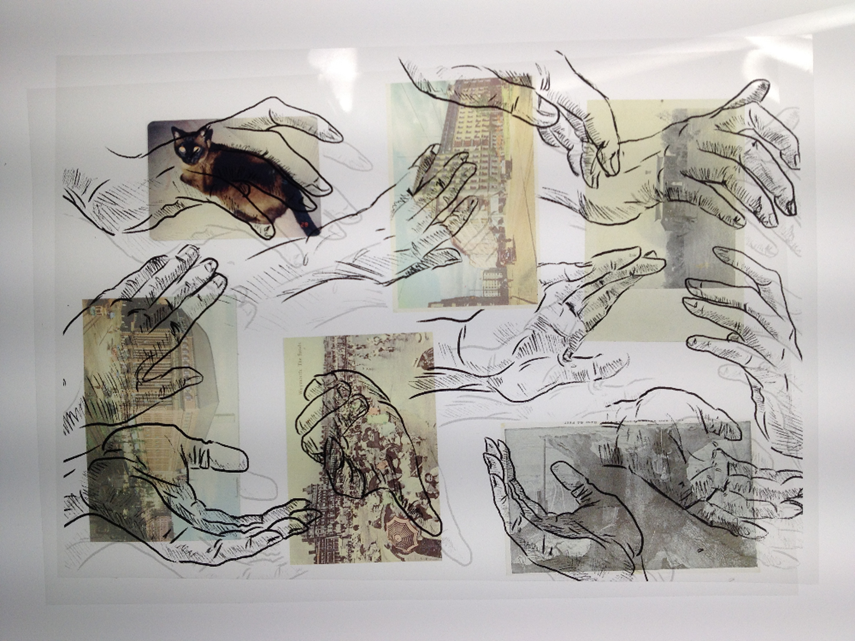 Acetate Illustrations | Part 2