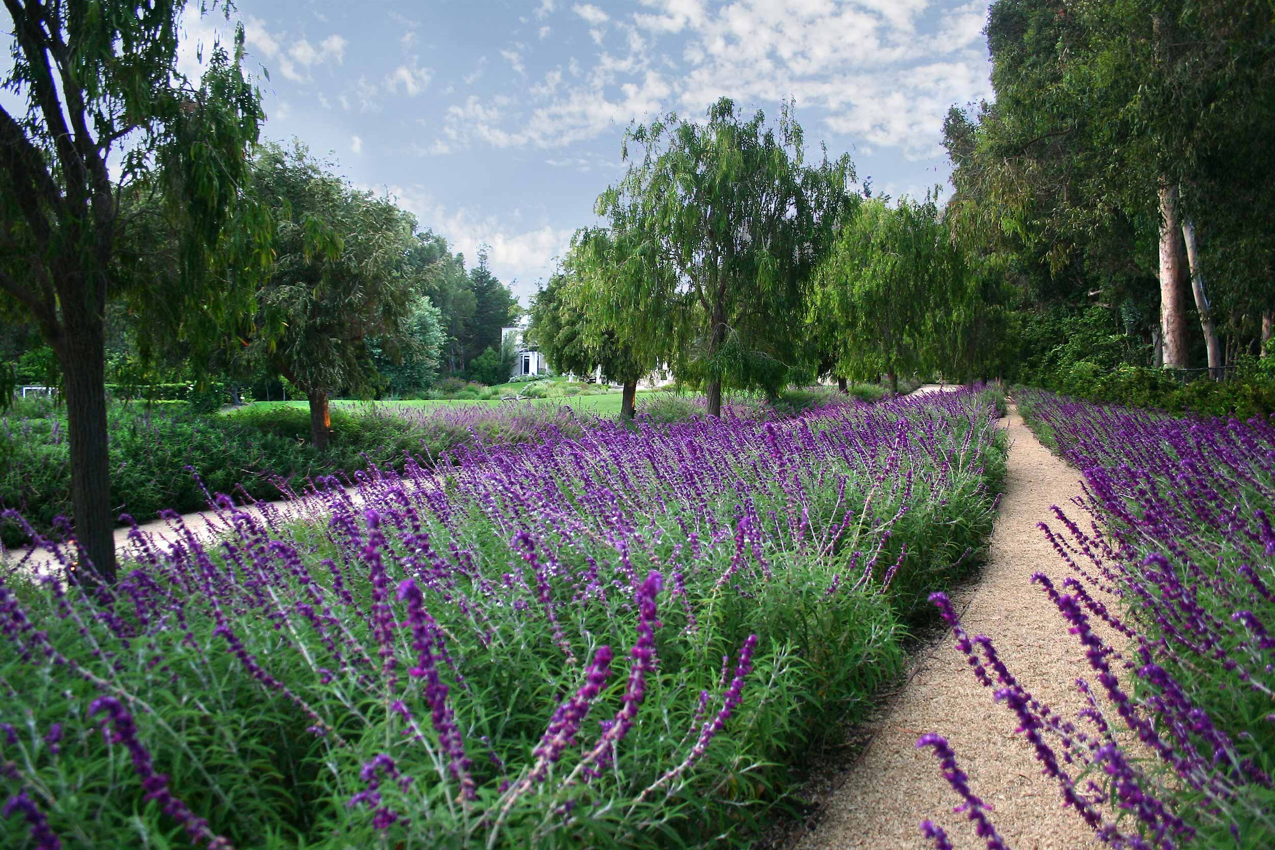 06-montecito-landscape-santa-barbara-garden-design-cullen-estate-malibu.jpg