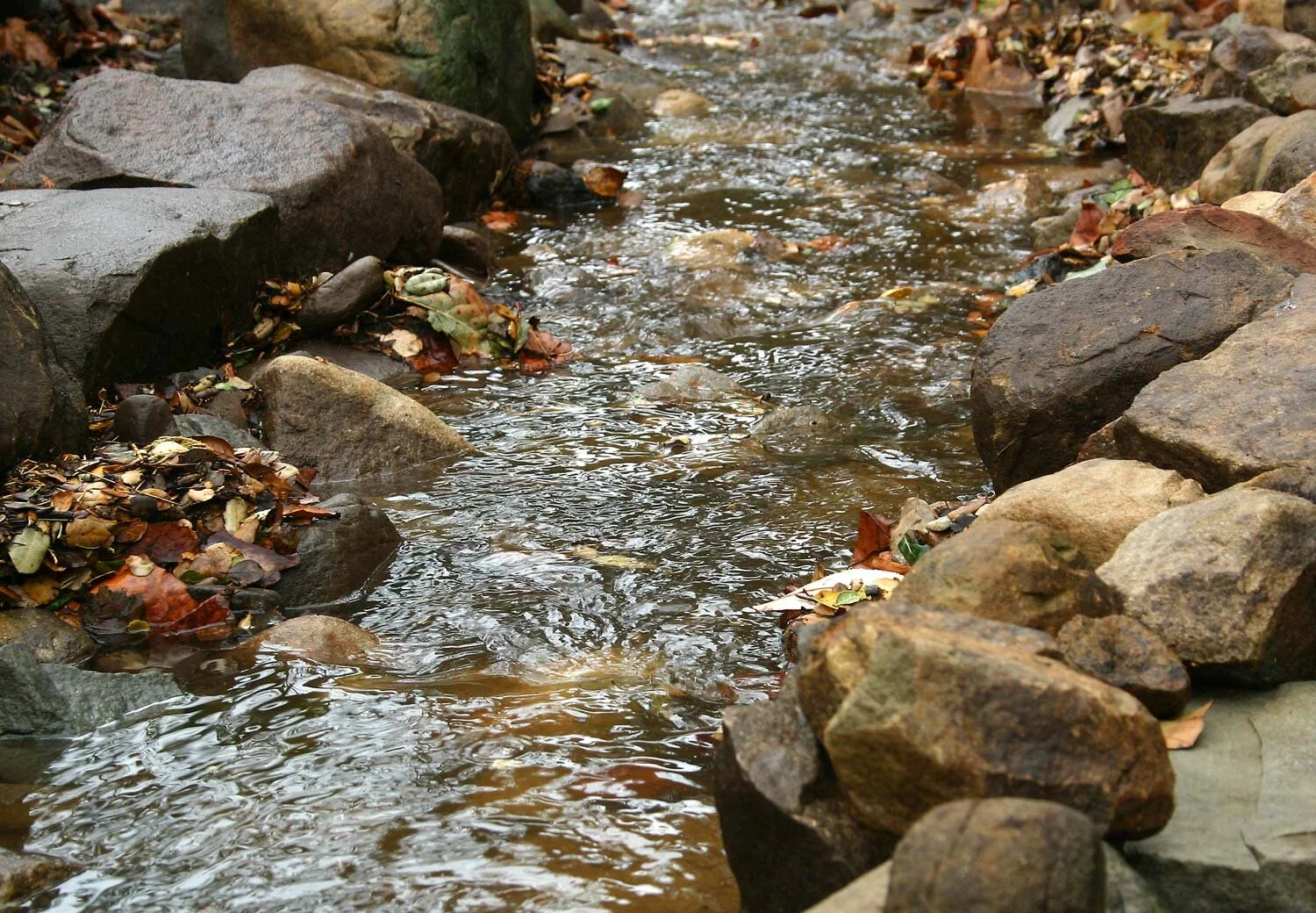 How To Stay Within Your Water Allocation