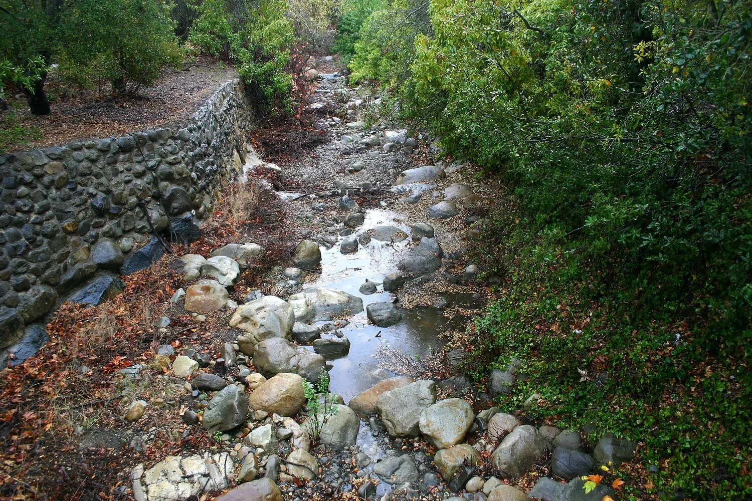 Rain At Last! Has El Nino Finally Arrived?