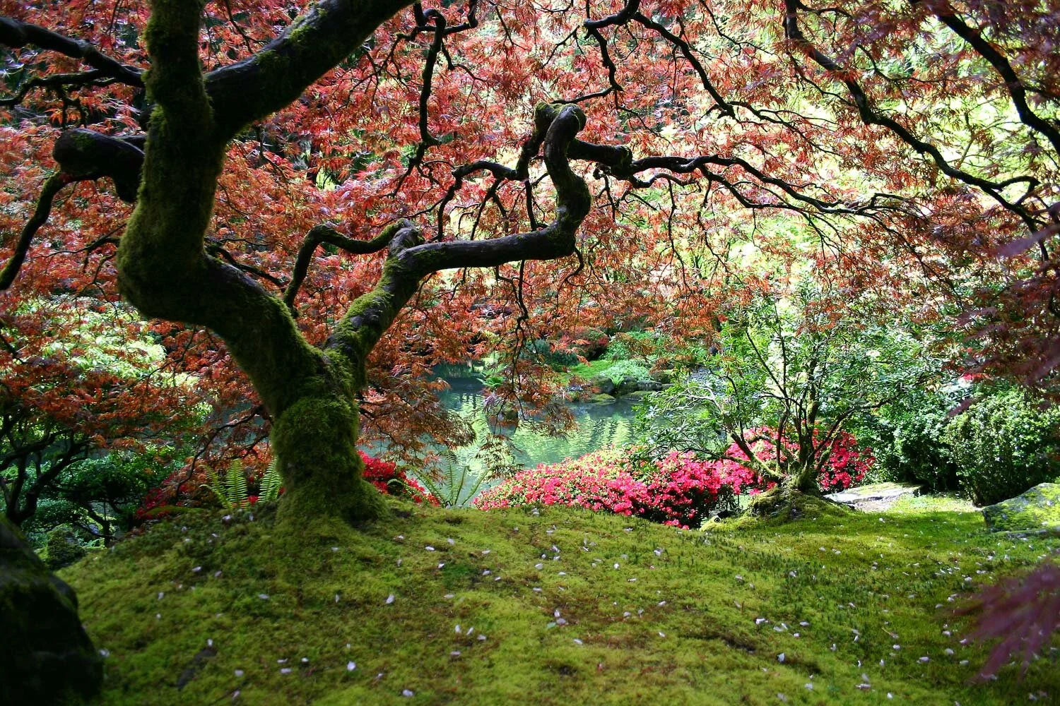 The Secret to Great Garden Design