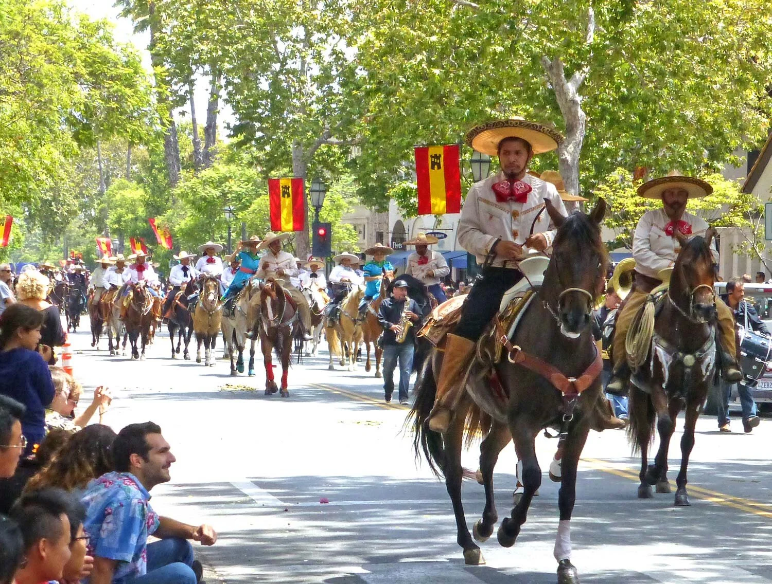 5 Tips for a Perfect Fiesta Garden Santa Barbara Style 