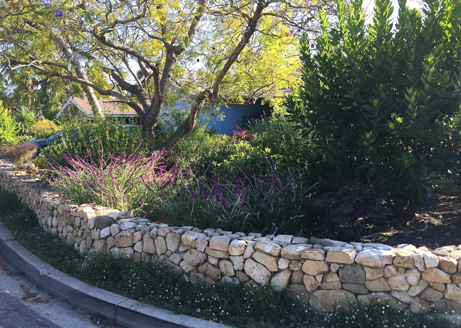 Garden Transformation-Walled Garden