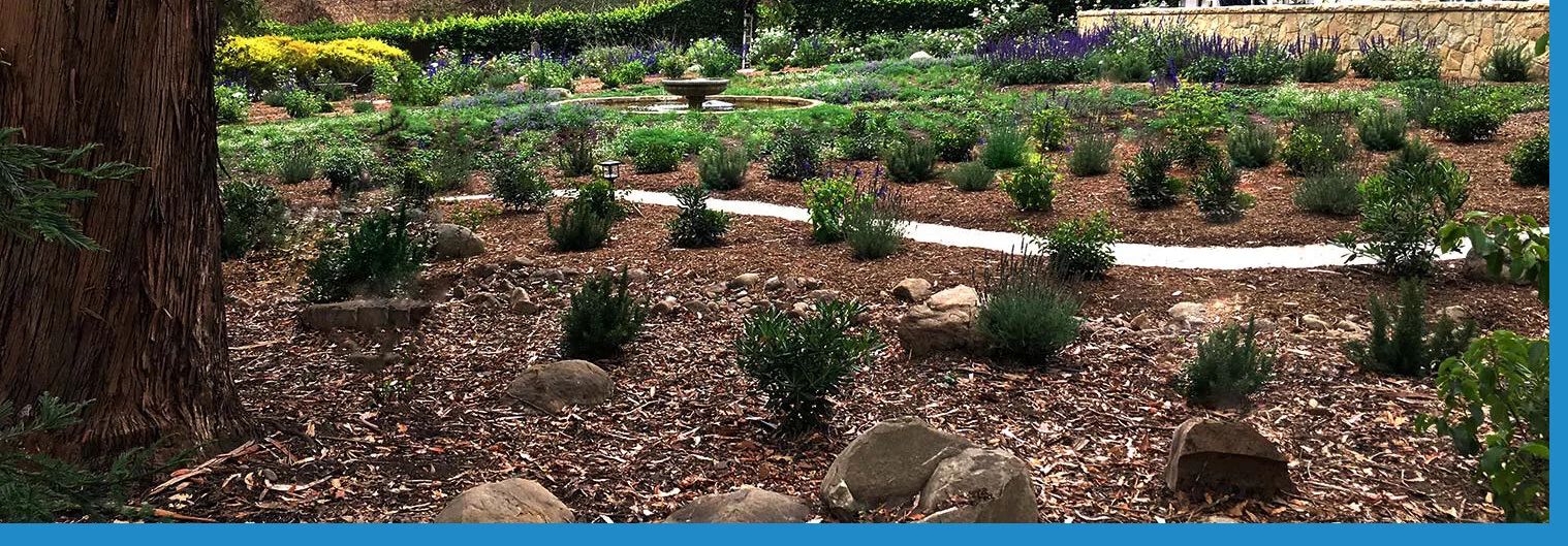 Garden Paths-The Secret To The Perfect Garden