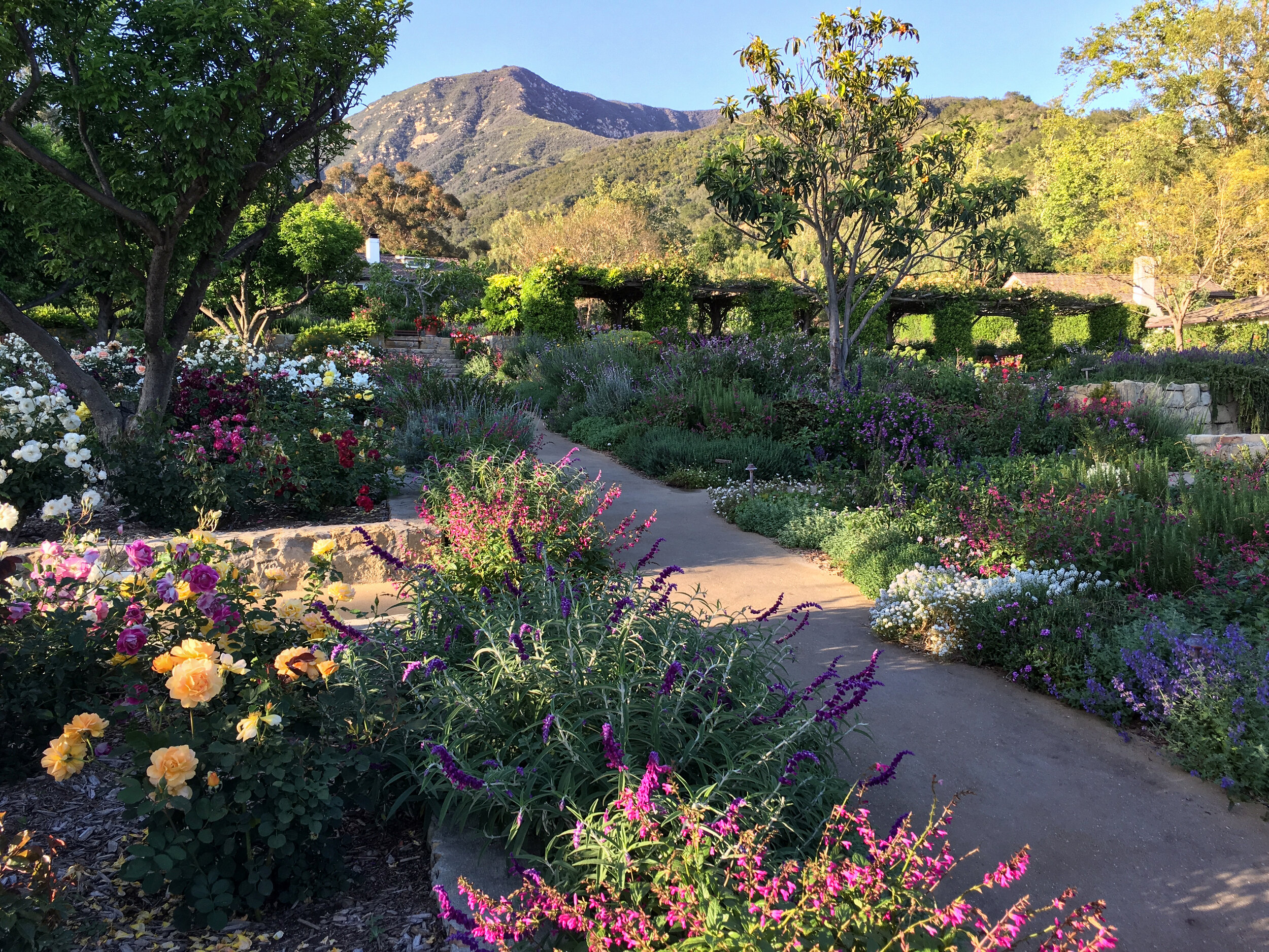 How the Creative Process Helps Heal Montecito Hearts&nbsp;and&nbsp;Gardens