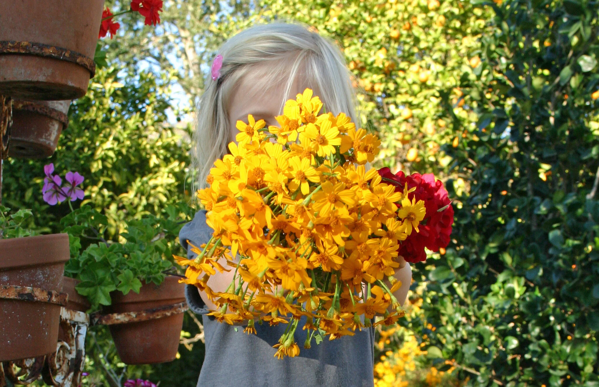 Celebrate the Season with a Summer Garden