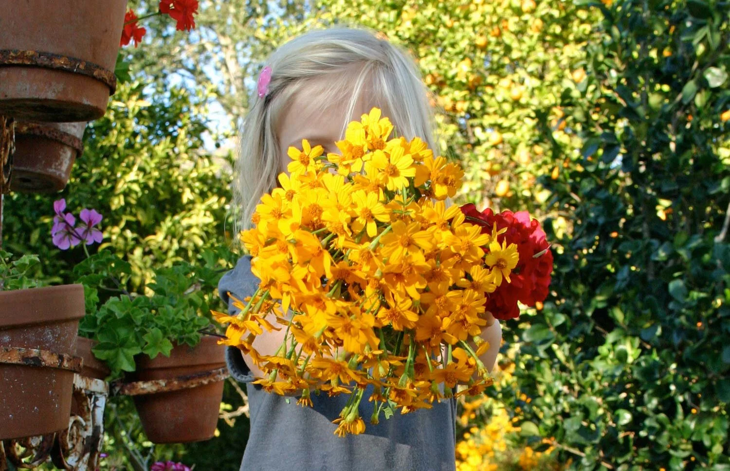 Garden Essence, Joy &amp; Claude Monet