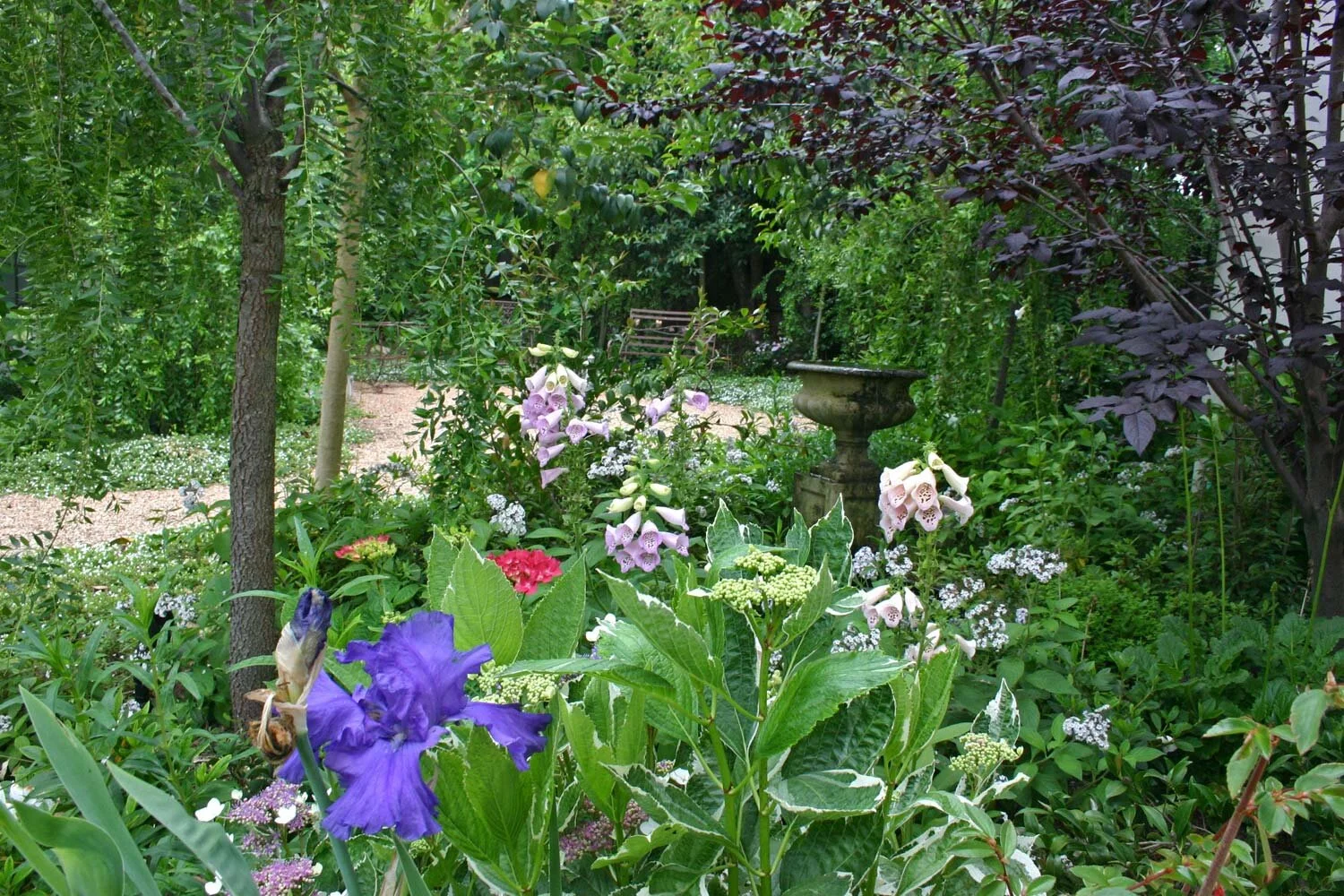4 Water-Wise Garden Tips