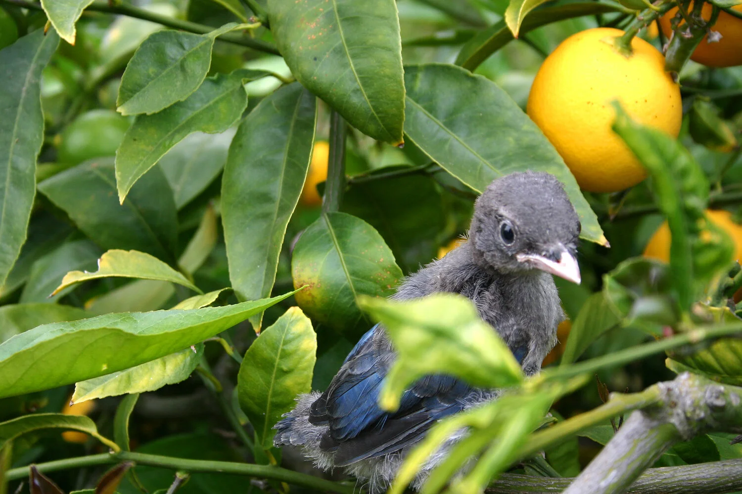 Happy New Year! Welcome 2016