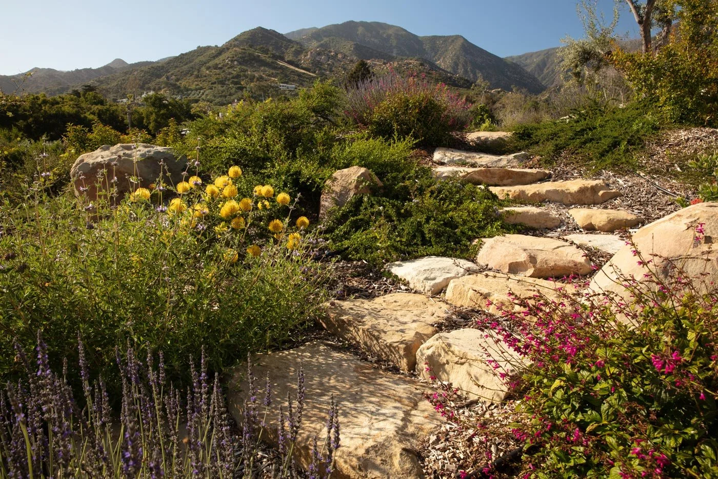 The Future of Gardening-Nature-Based Landscaping
