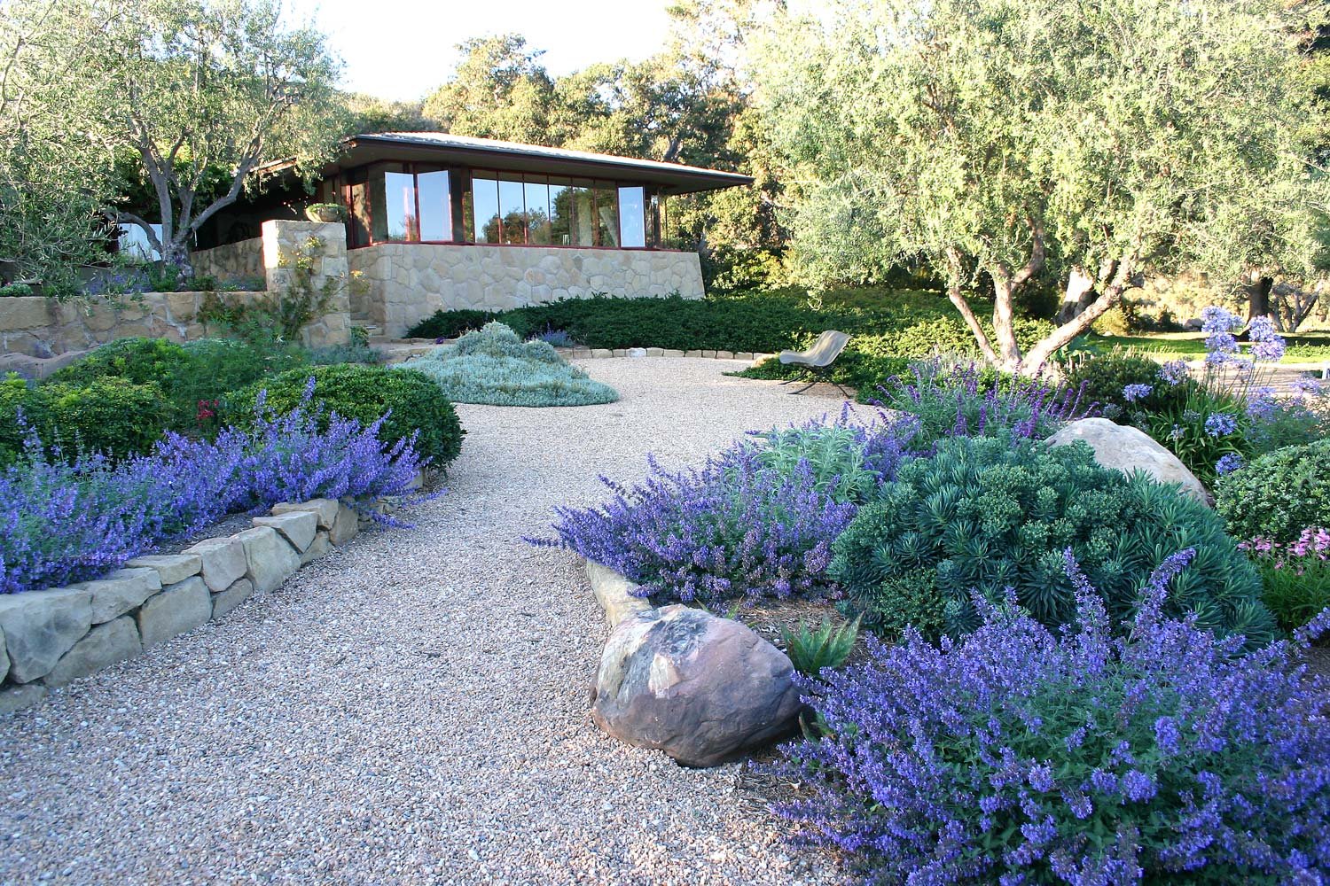 drought landscaping ideas