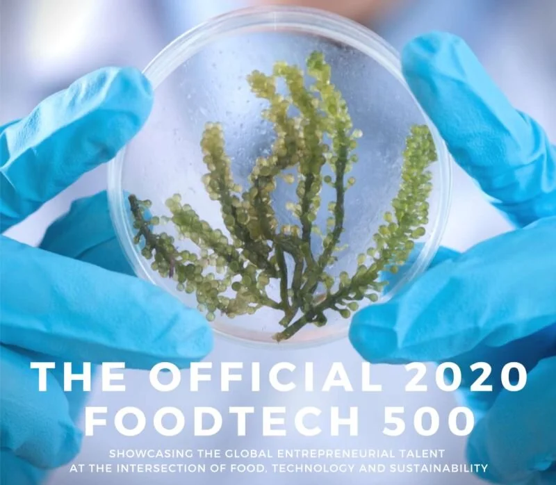 foodtech_500_DeepPlanet.jpeg