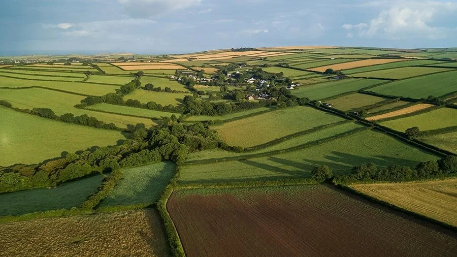 Beyond the Boundary: Hedgerow Biomass Monitoring for Regenerative Agriculture