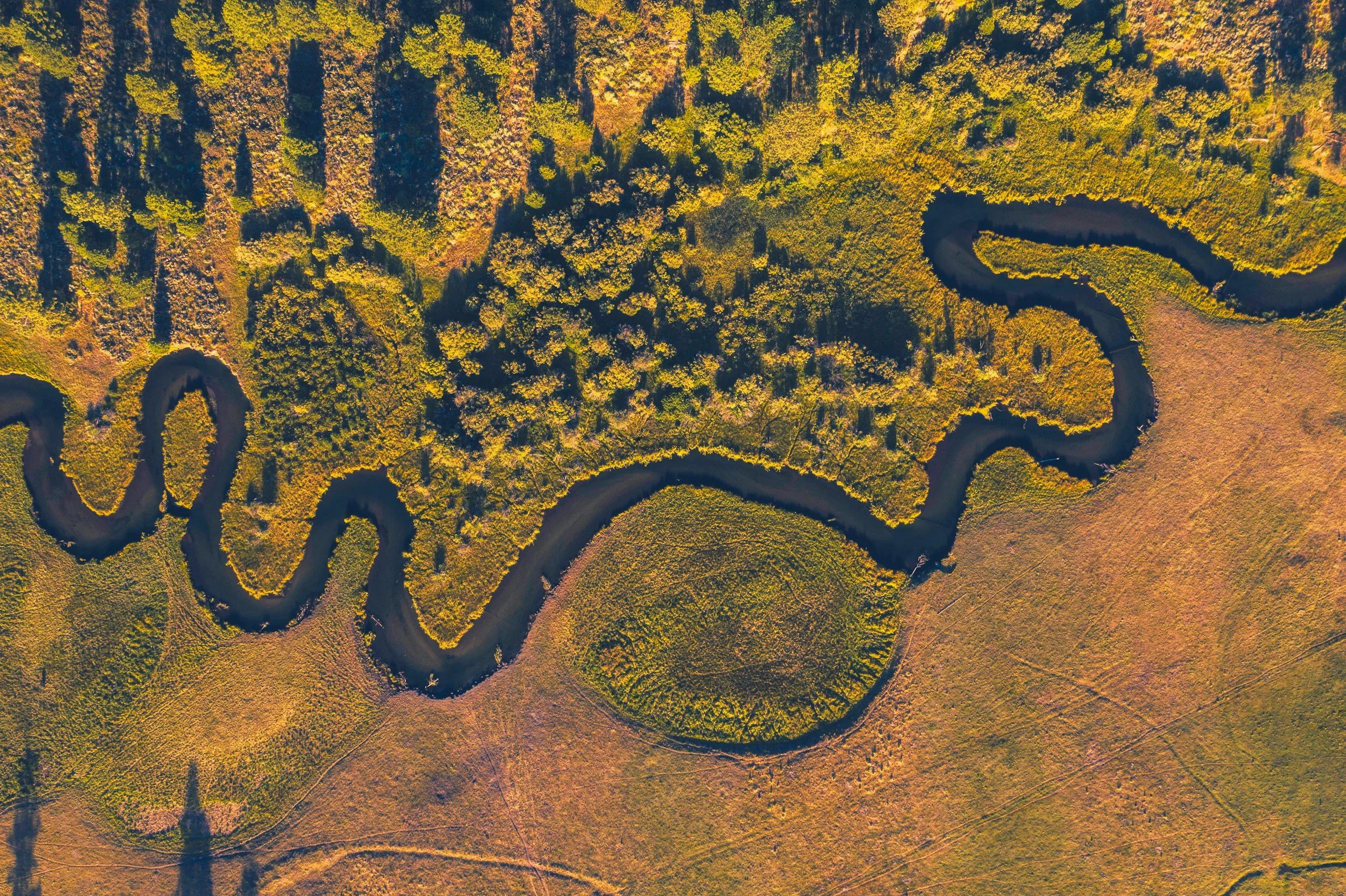 Watershed Monitoring: Leveraging Geospatial AI for Verifiable Resilience