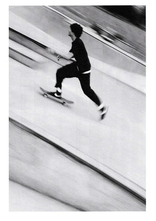 taylor 01.jpg