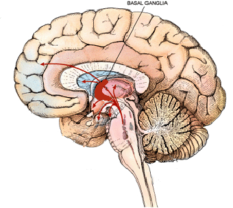 Parkinson's Disease and Cannabis: How it Can Help