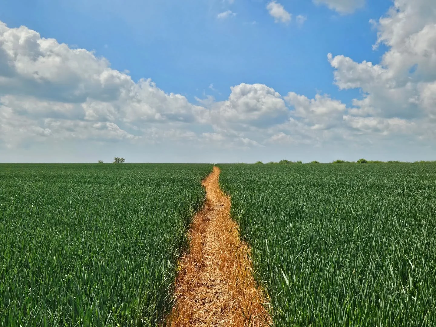 #journey #path