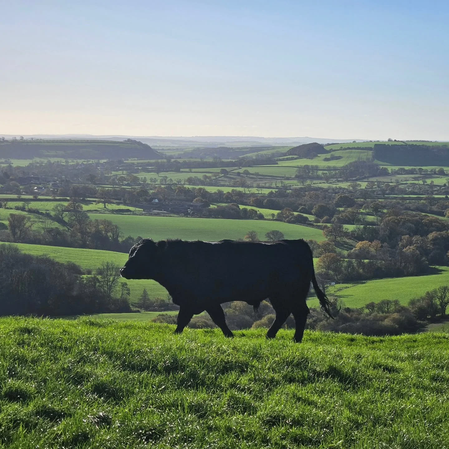 #dorset #nationallandscape