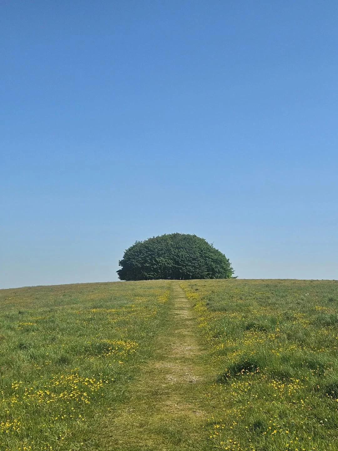 #wiltshire #bankholiday #nocrowds #landmark #ruraltourism