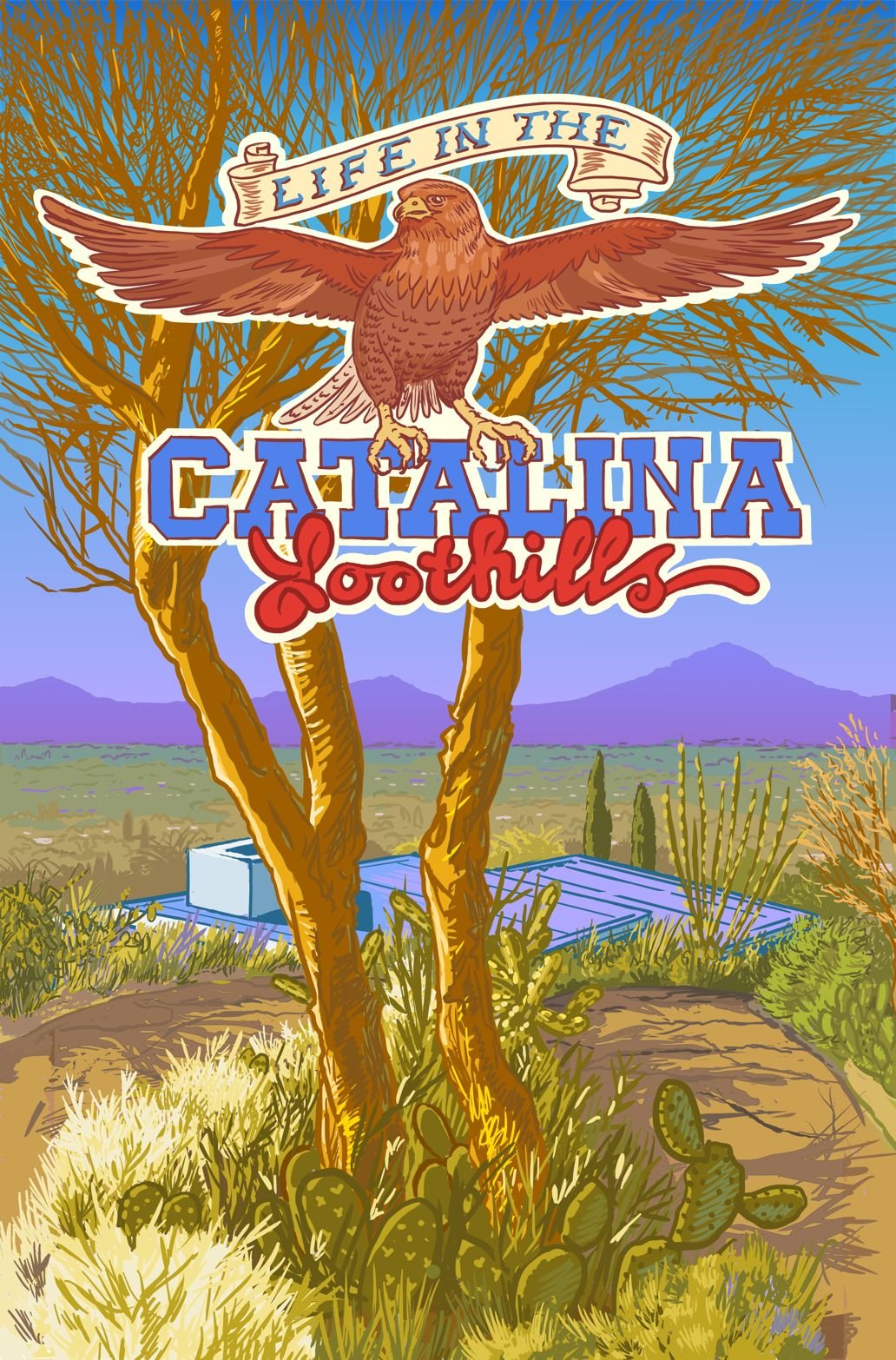 Page 01 (08-05-2025)