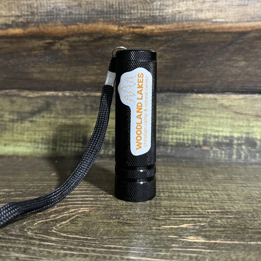 Flash lights : $3.00