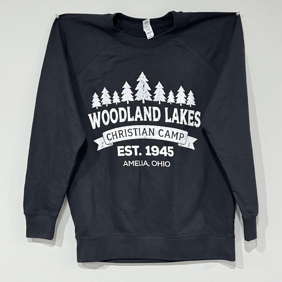 Crewneck lightweight sweatshirt: $30.00