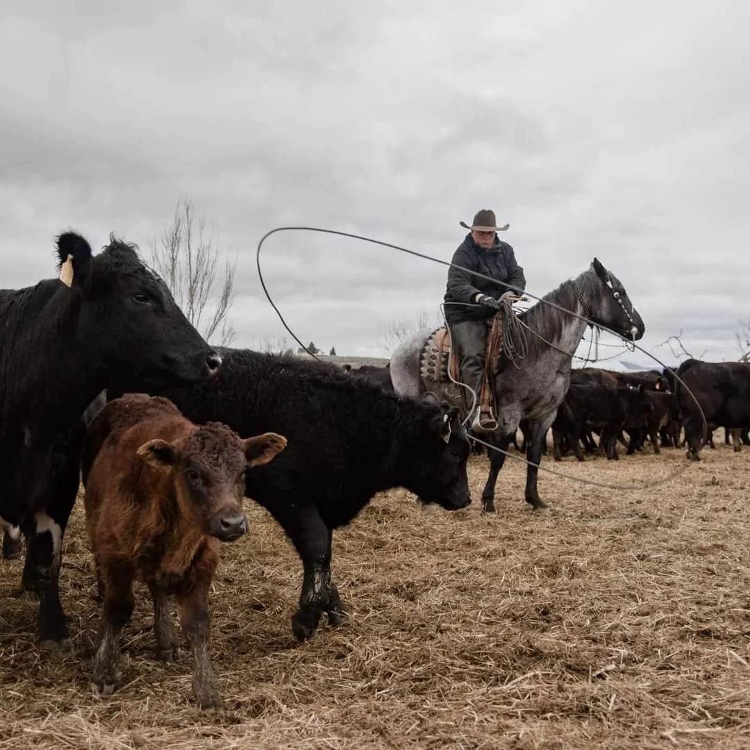 2022-04-26 16.47.02.jpg