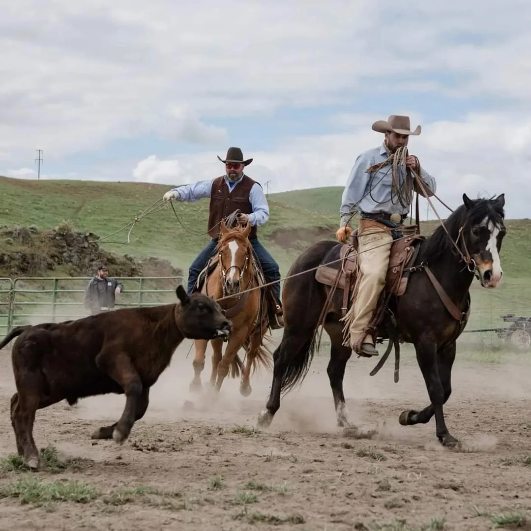 2022-05-06 22.03.25.jpg