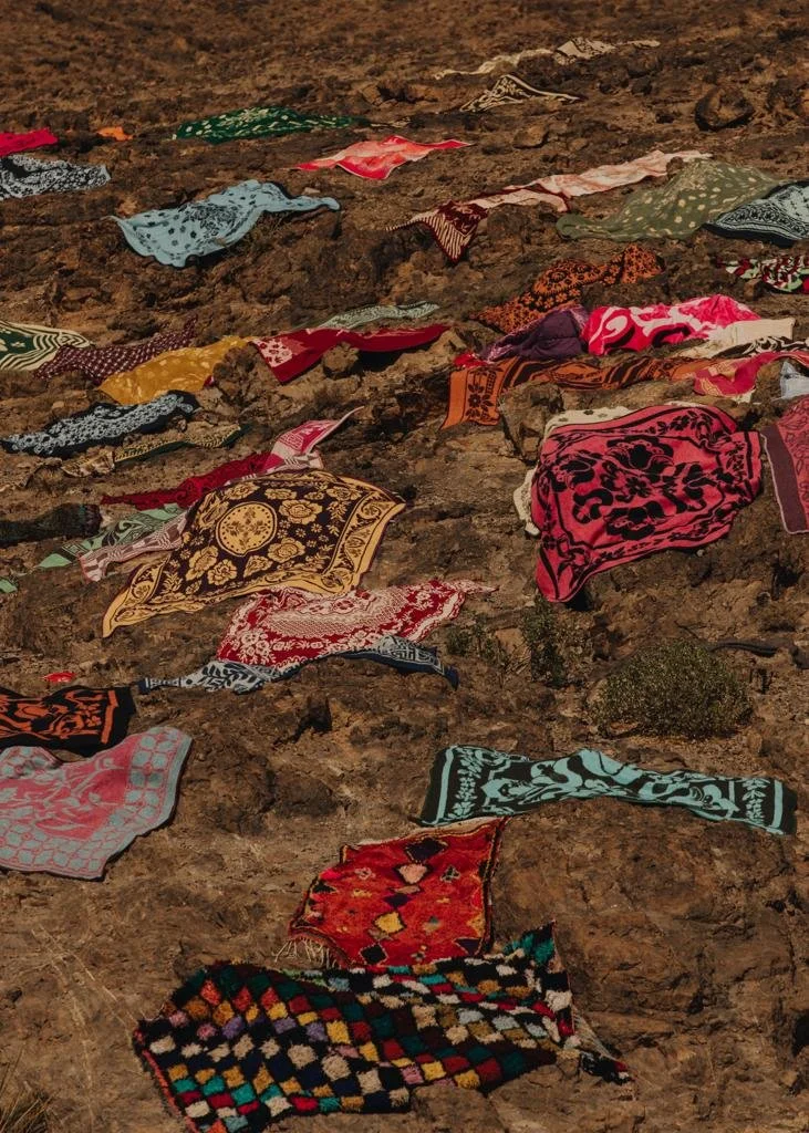 Charlotte Lapalus - Carpets