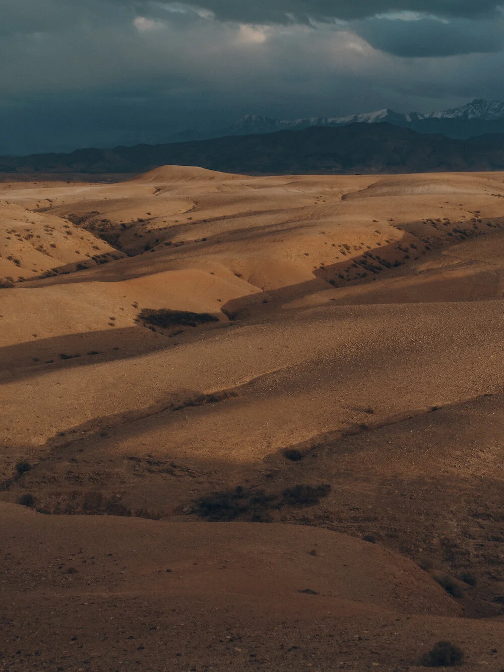 Charlotte Lapalus - Desert