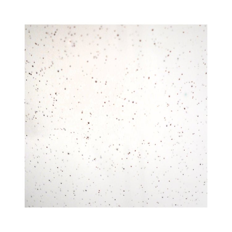 1E55F66F-4079-4816-AD0E-5A3103B4B92C.jpeg