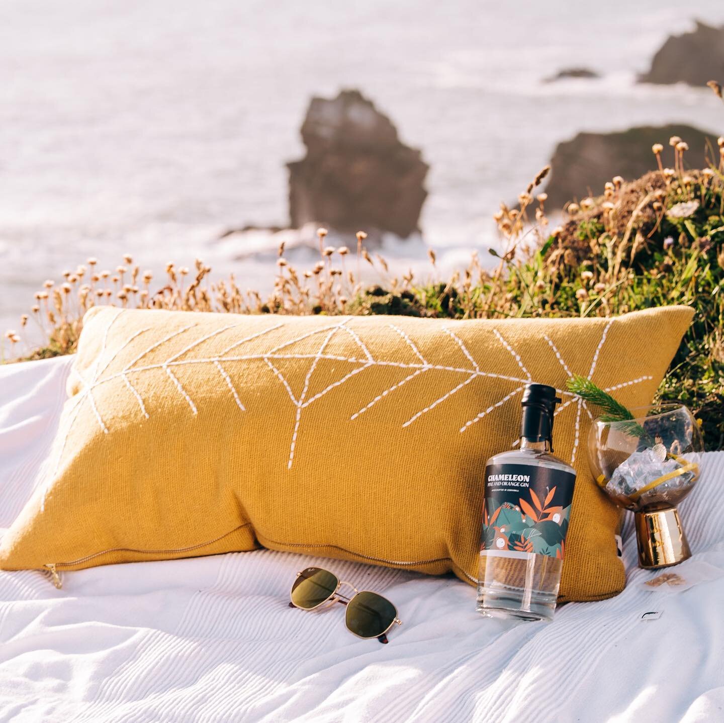 WHO IS READY FOR SUMMER? ⛵️

As the light cracks through our (home) office window today, the smell of spring is firmly in the air and it has got us thinking about the long Cornish summer... ☀️ 

TBT last June and Chameleon Gins by the sea. 🌊 

We ca