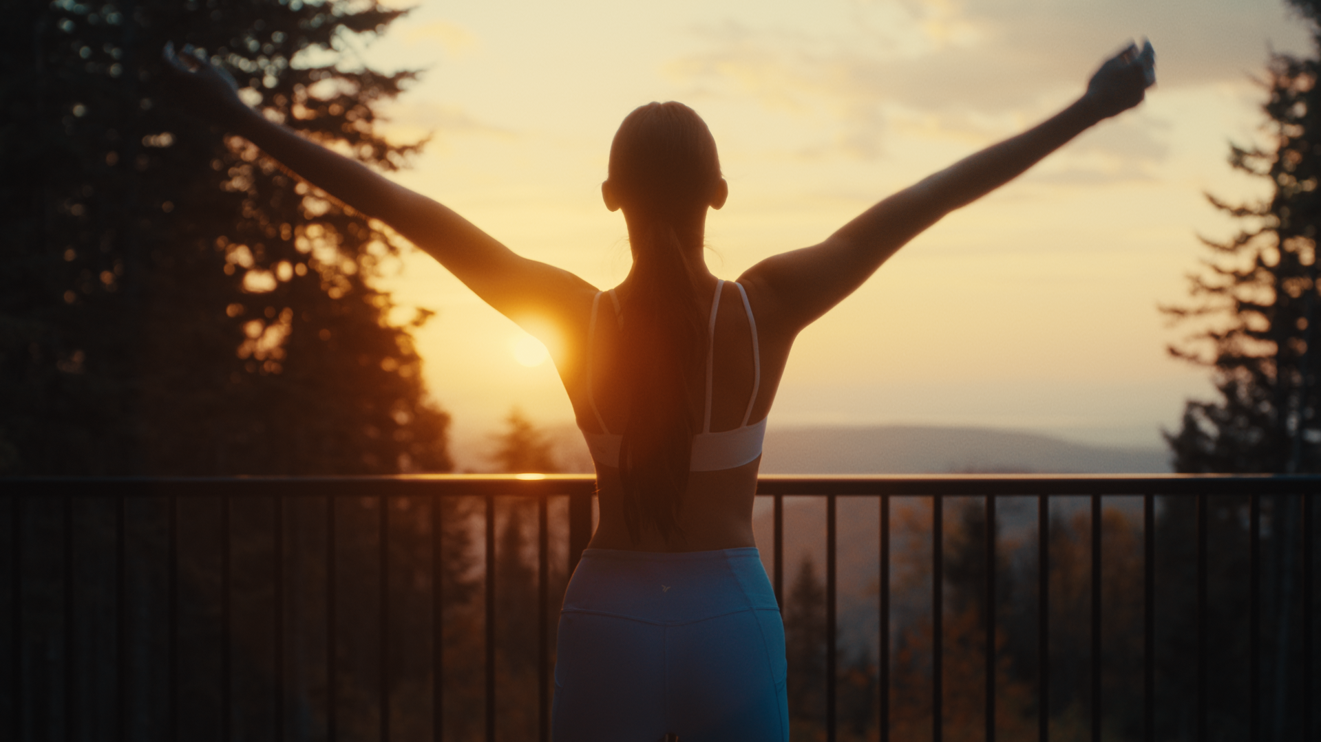 IDC HYDRA Directors Cut_No VO_NoTexts