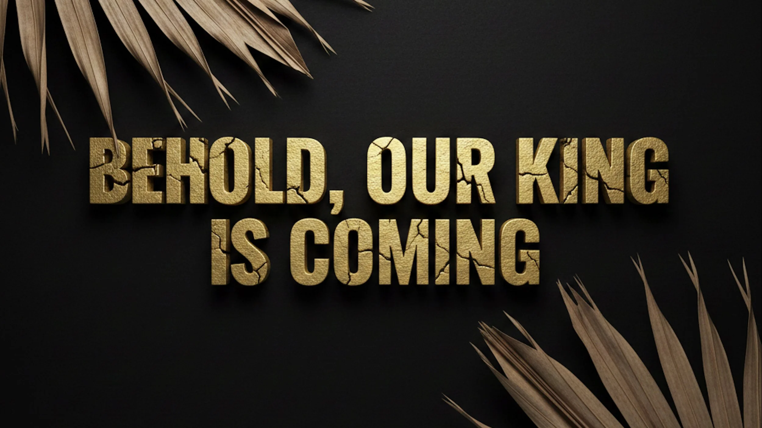 Behold, Our King Is Coming 