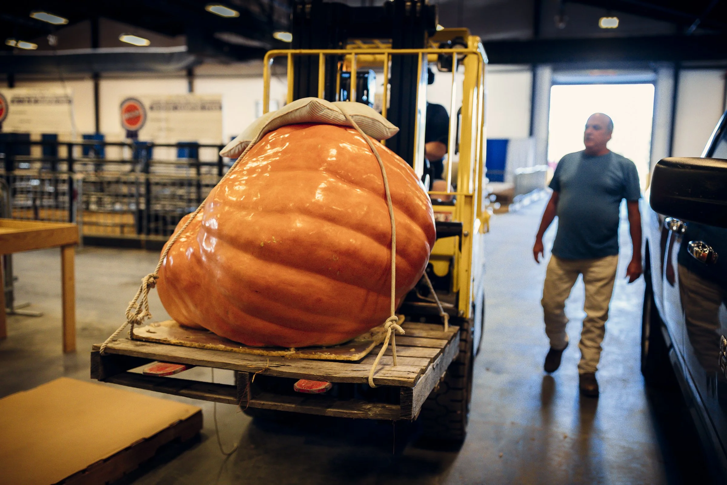 pumpkin_NC_fair_52.jpg